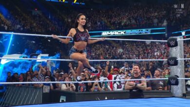AJ Lee Is Taking Merch Requests, WWE NXT Highlights, More | Fight Size